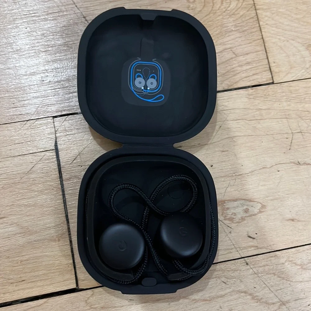 Google Earbud Headphones